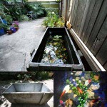 22 Small Garden or Backyard Aquarium Ideas Will Blow Your Mind