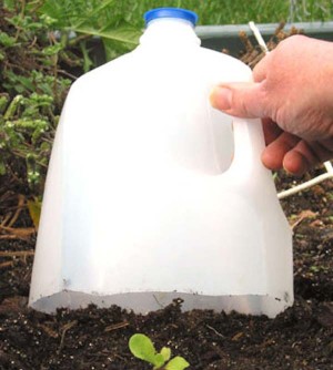 Top 24 Incredibly Clever Gardening Tricks For Your Garden - WooHome