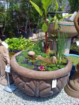 21 Fascinating Low-Budget DIY Mini Ponds In a Pot - WooHome