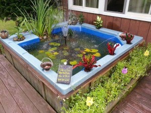 22 Small Garden or Backyard Aquarium Ideas