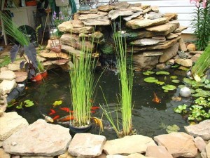 22 Small Garden or Backyard Aquarium Ideas Will Blow Your Mind ...