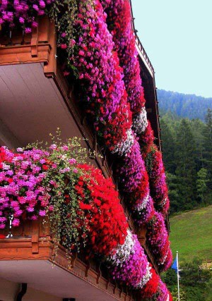 Top 23 Spectacular Balcony Gardens That You Must See - Amazing DIY ...