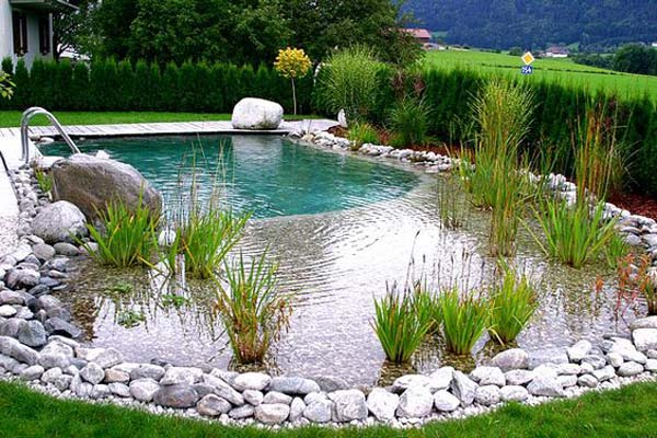 24 Backyard Natural Pools You Want To Have Them Immediately - Amazing ...