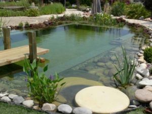 24 Backyard Natural Pools You Want To Have Them Immediately - Woohome