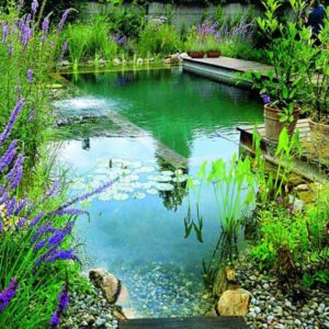 24 Backyard Natural Pools You Want To Have Them Immediately - WooHome