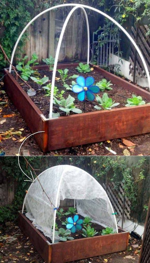 17 Simple Budget-Friendly Plans to Build a Greenhouse - Amazing DIY