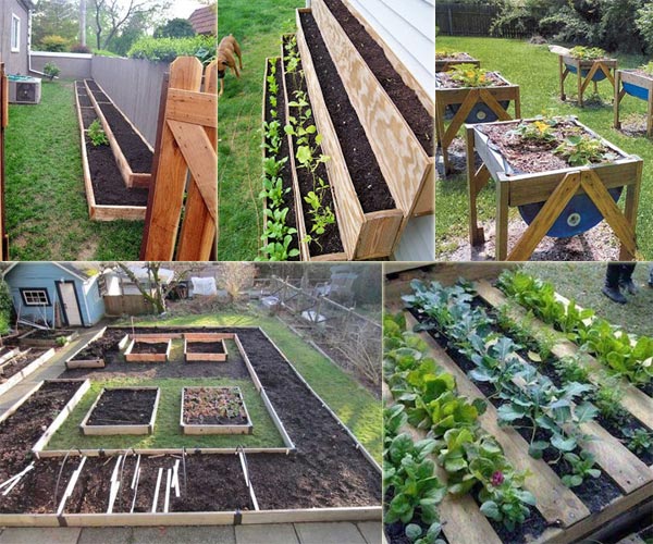 How To Make A Vegetable Garden In Small Spaces Garden Likes