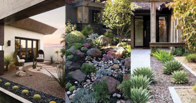 To Create a Desert Landscape Garden Reduce Your Lawn Space