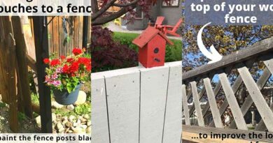 17 Easy Ways to Upgrade Your Wooden Fence Without Paint