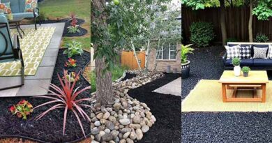 56 Black Mulch Landscaping Ideas to Boost Your Garden’s Appeal