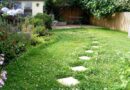 17 Key Factors to Consider Before Planting a Clover Lawn